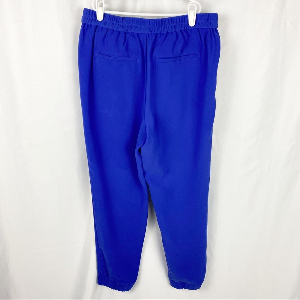J. Crew Blue Pants Size 4 - Picture 9 of 9